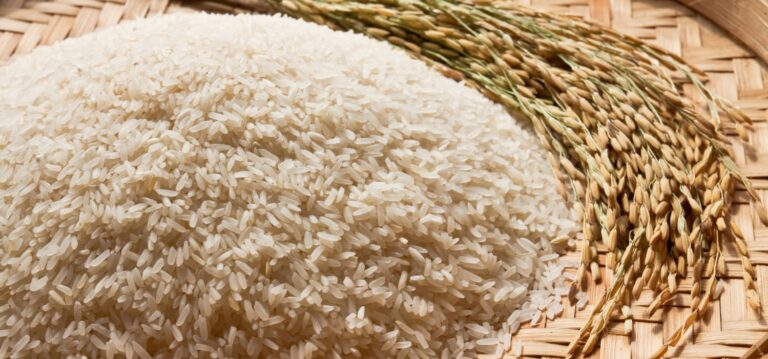 Why Basmati Rice is Considered the King of Rice