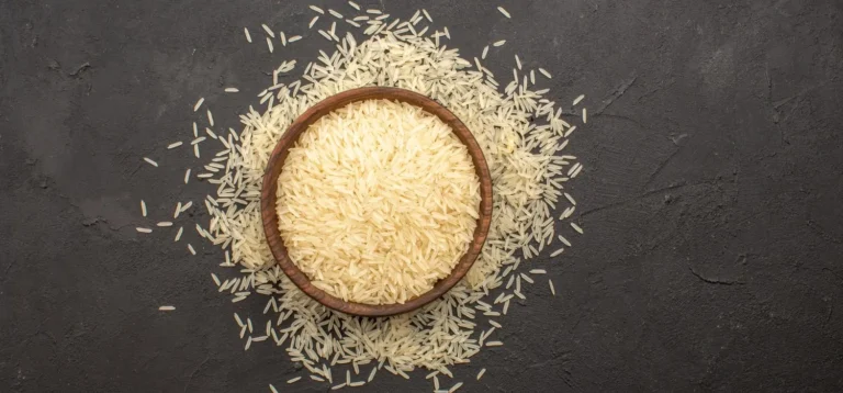 The Journey of Premium Rice: From Fields to Global Tables