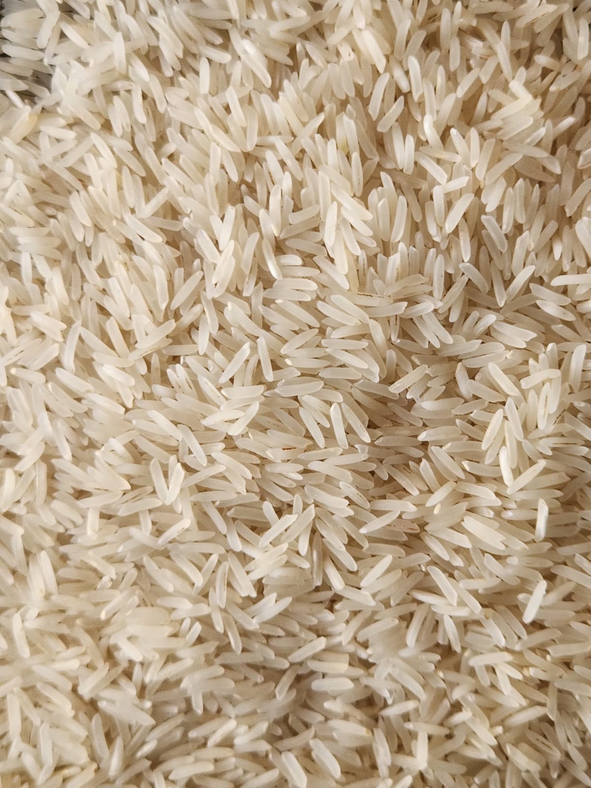 Sharbati Basmati Rice