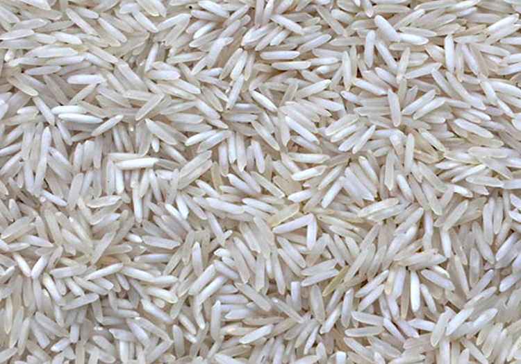 Sugandha Rice Processing