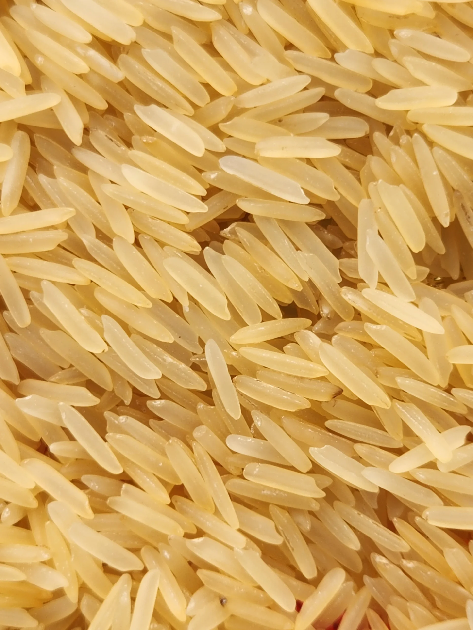 1121 Golden Sella Rice