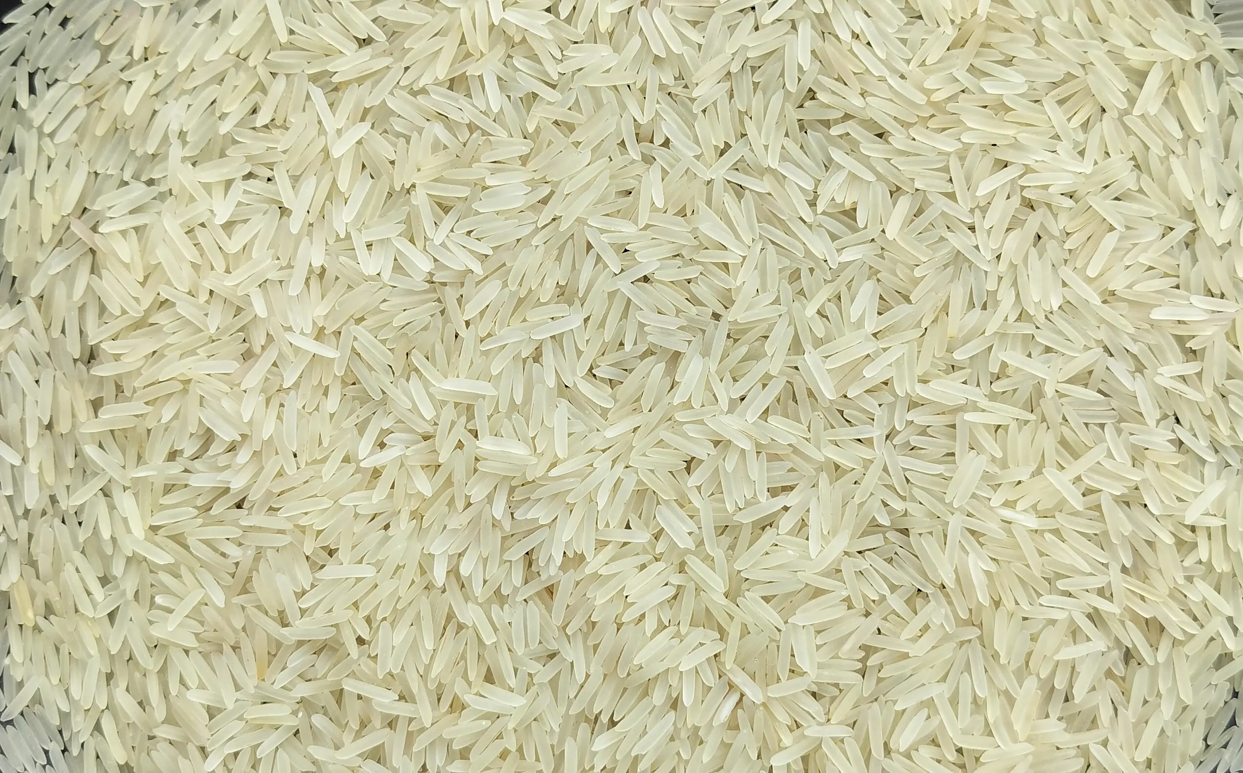 1509 Creamy Sella Rice