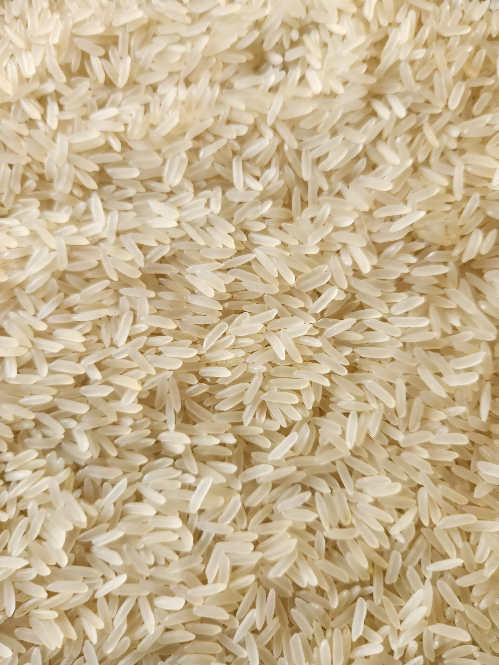 PR 11 Rice