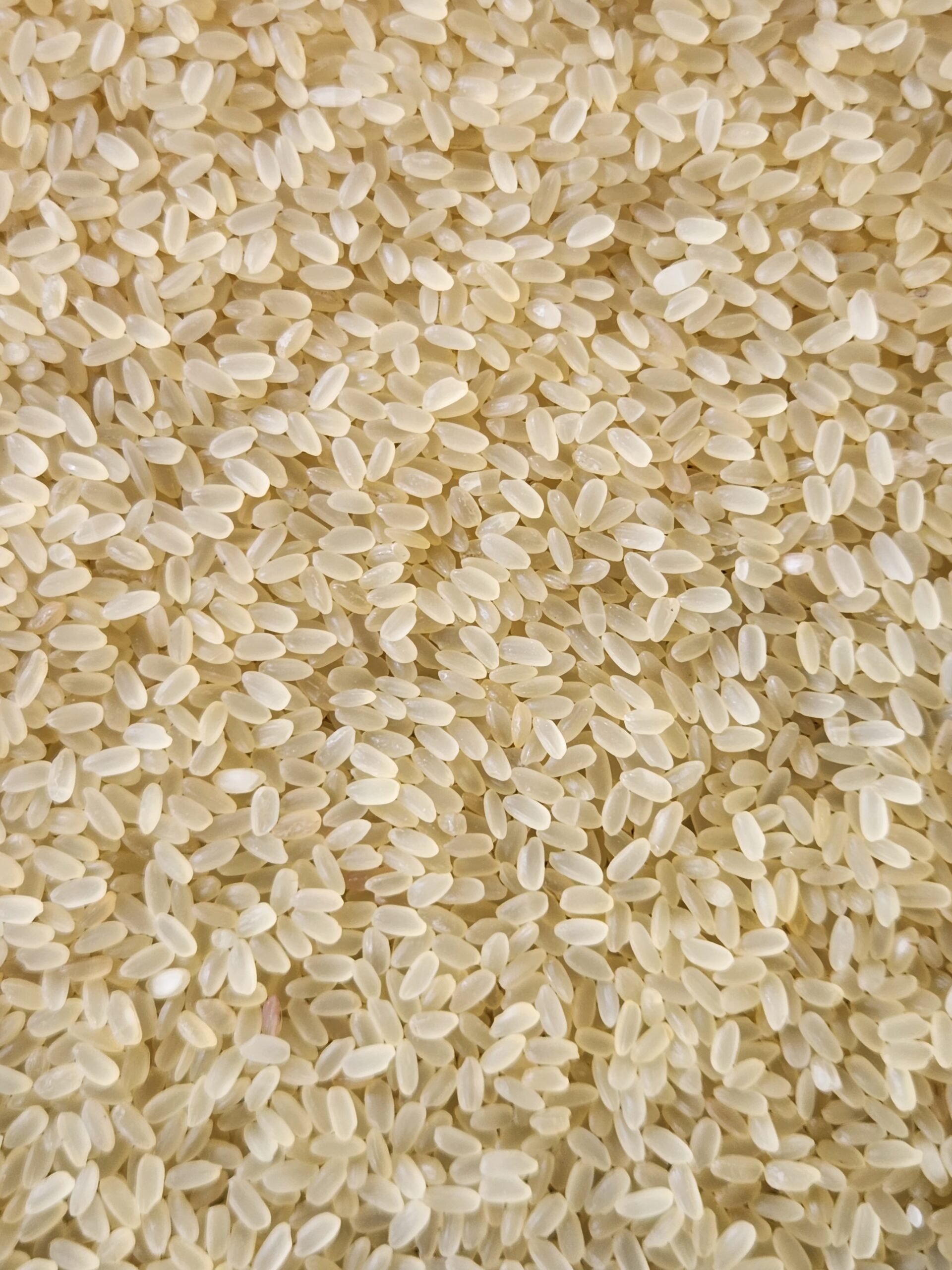Sona Masoori Rice